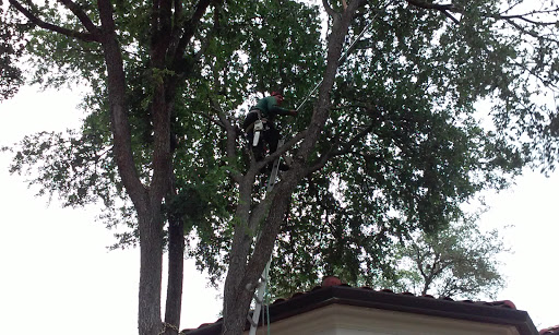 Country Club «Dominion Country Club», reviews and photos, 1 Dominion Dr, San Antonio, TX 78257, USA