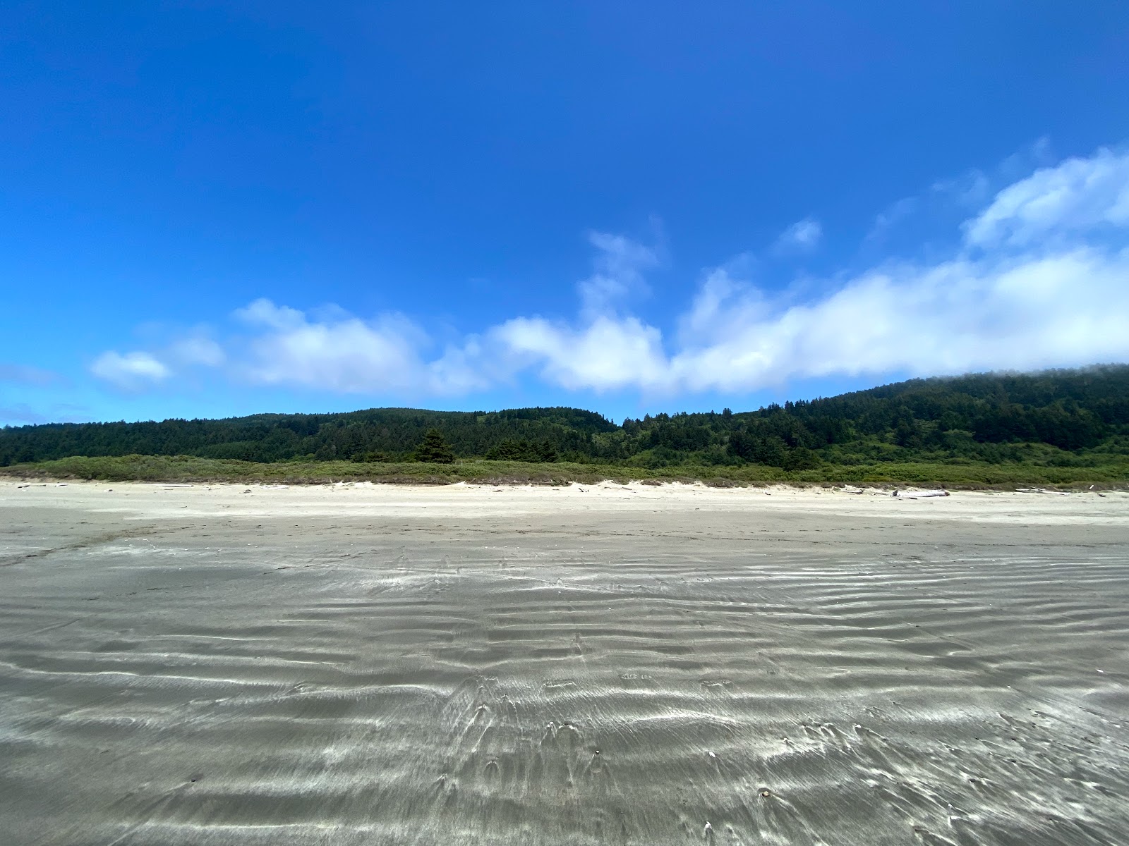 Crescent Beach的照片 带有碧绿色水表面