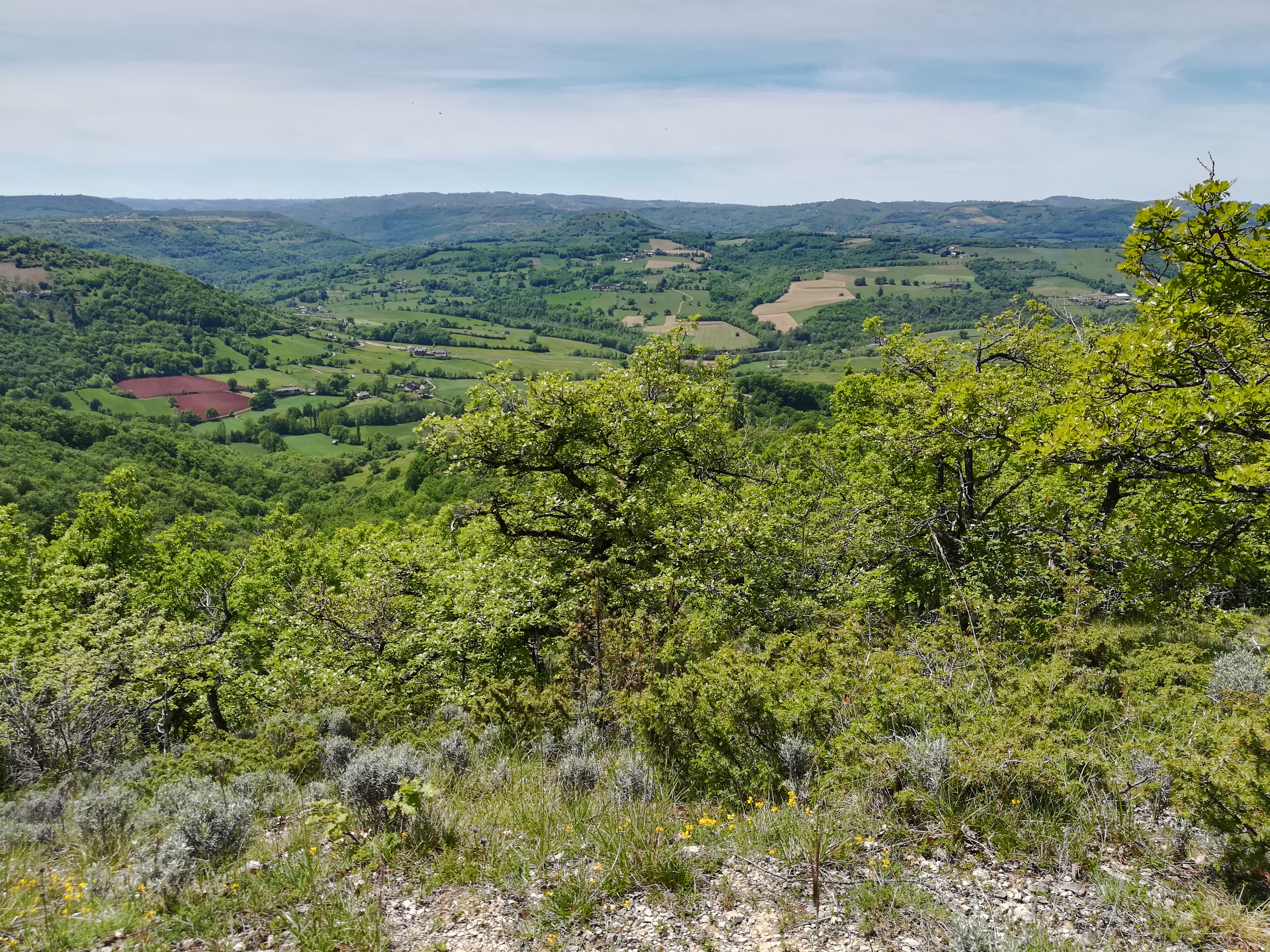 Photo n° 2 de l'avis de Jean-Marc.o fait le 28/05/2019 à 08:50