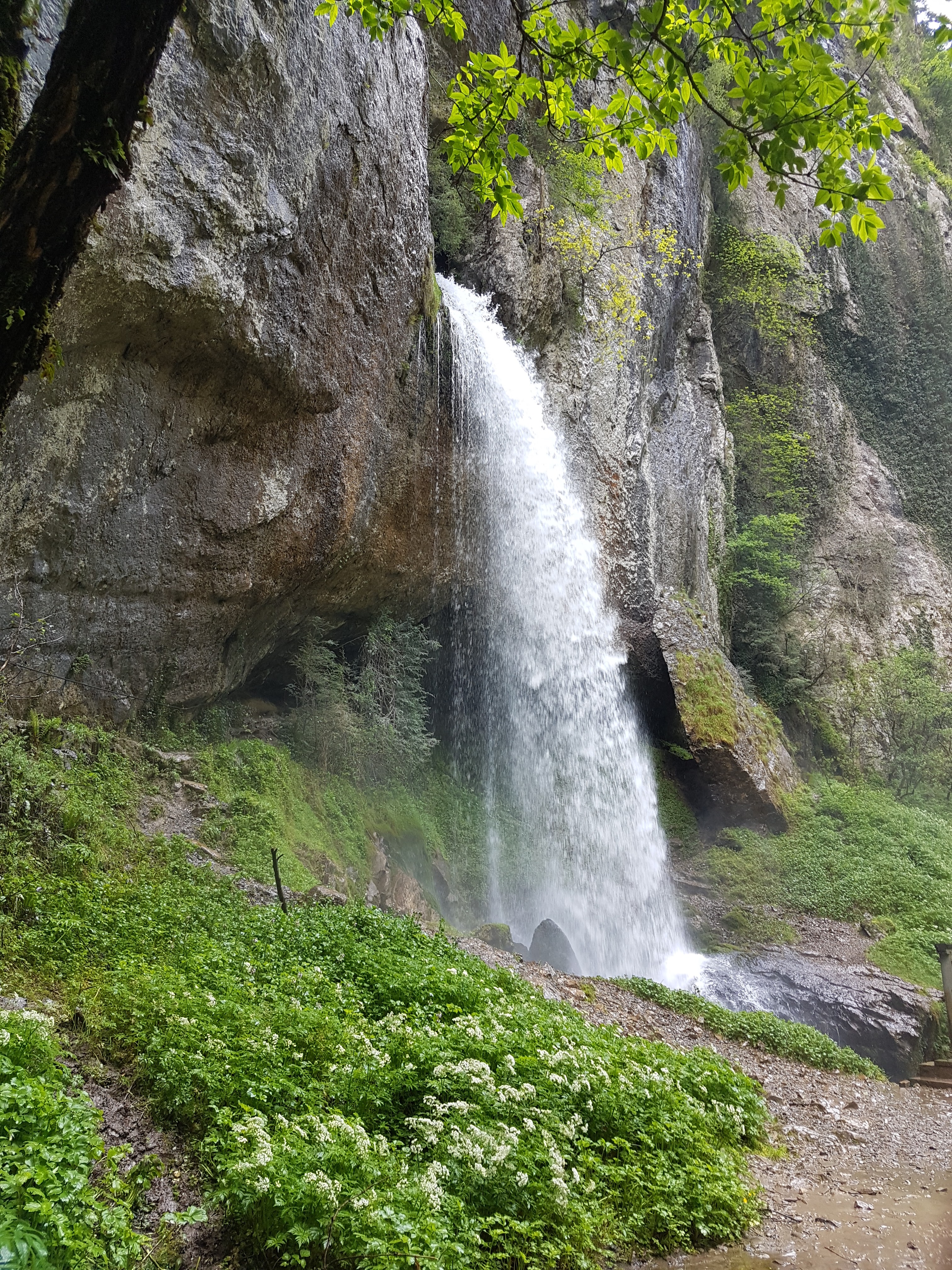 Photo n° 44 de l'avis de Sandrine.A fait le 08/05/2018 à 19:38