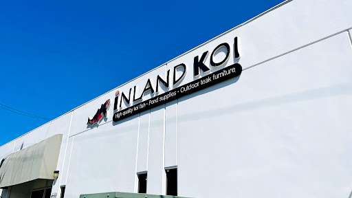 Inland Koi