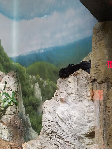 Zoo «Zoo Atlanta», reviews and photos, 800 Cherokee Ave SE, Atlanta, GA 30315, USA