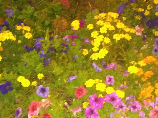 Steak House «Clearwater Saloon & Casino», reviews and photos, 838 Valley Mall Pkwy, East Wenatchee, WA 98802, USA