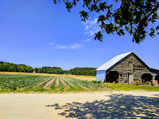 Fruit and Vegetable Store «Henley Farm», reviews and photos, 3513 Charity Neck Rd, Virginia Beach, VA 23456, USA