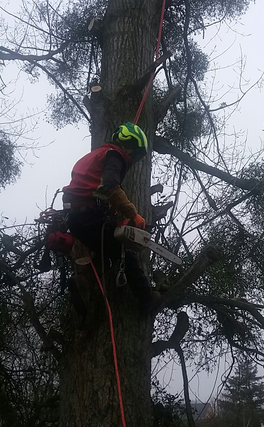 Photo n° 1 de l'avis de Hubert.a fait le 10/01/2019 à 19:08