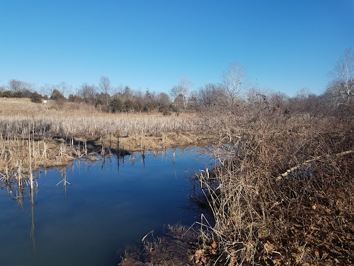 Nature Preserve «Cool Spring Preserve», reviews and photos, 1469 Lloyd Rd, Charles Town, WV 25414, USA