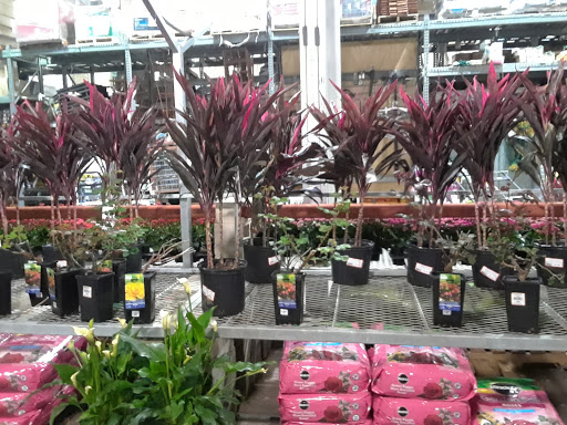 Home Improvement Store «The Home Depot», reviews and photos, 6140 Hamner Ave, Mira Loma, CA 91752, USA