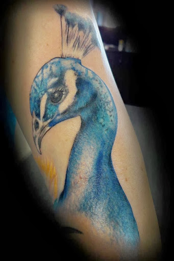 Tattoo Shop «Battle Born Tattoo», reviews and photos, 1717 S Wells Ave, Reno, NV 89502, USA