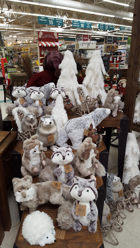 Hardware Store «Orchard Supply Hardware», reviews and photos, 7431 Laguna Blvd, Elk Grove, CA 95758, USA