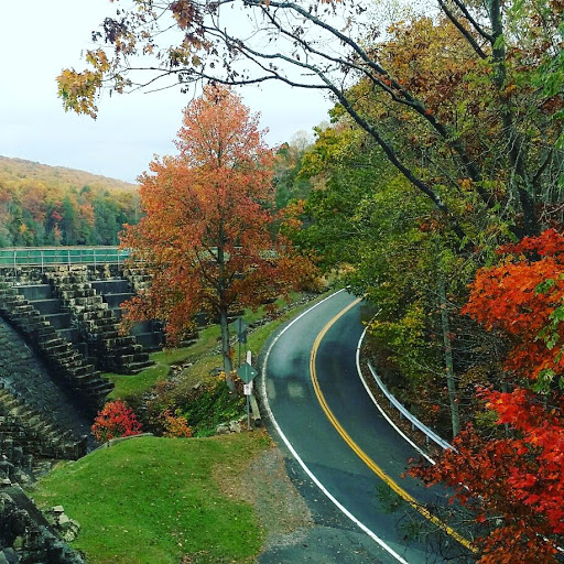 Park «Bays Mountain Park & Planetarium», reviews and photos, 853 Bays Mountain Rd, Kingsport, TN 37660, USA