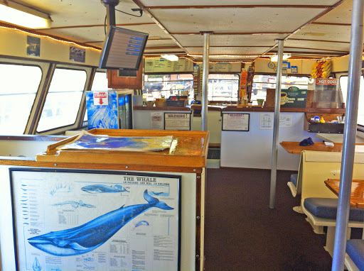Whale Watching Tour Agency «7 Seas Whale Watch», reviews and photos, 63 Rogers St, Gloucester, MA 01930, USA