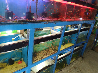 Rafki aquarium