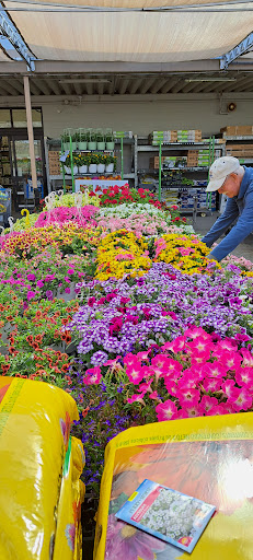 Walmart Garden Center
