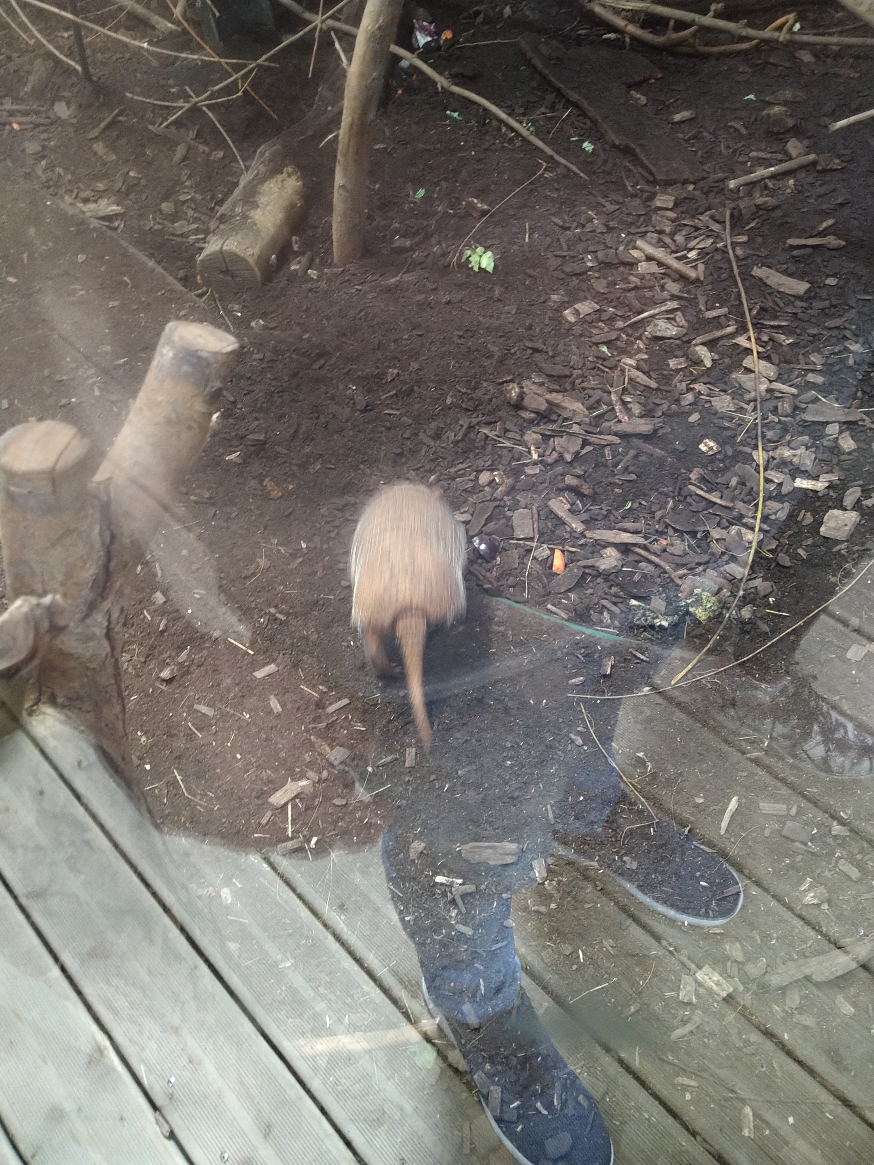 Photo n° 29 de l'avis de HardLoSeDa. fait le 15/08/2019 à 14:36