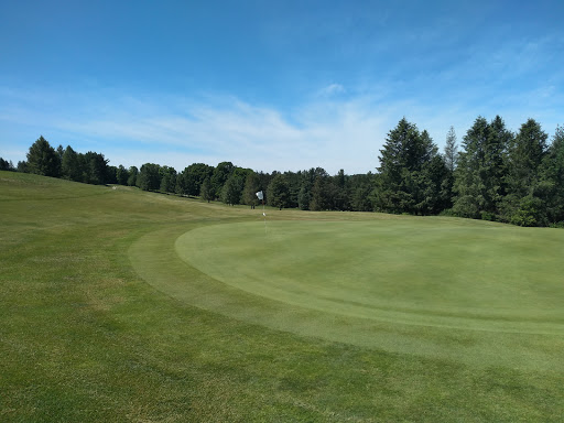 Golf Course «Pinecroft Golf Course», reviews and photos, 8260 Henry Rd, Benzonia, MI 49616, USA
