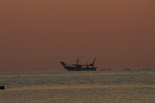 Photos des visiteurs Appartamento vacanze Residence Thea 47814 Bellaria - Igea Marina