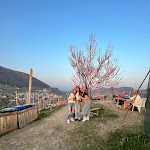 Photo n°4 de l'avis de Chiara.o fait le 08/04/2022 à 13:49 sur le  Osteria Senz'Oste à Valdobbiadene