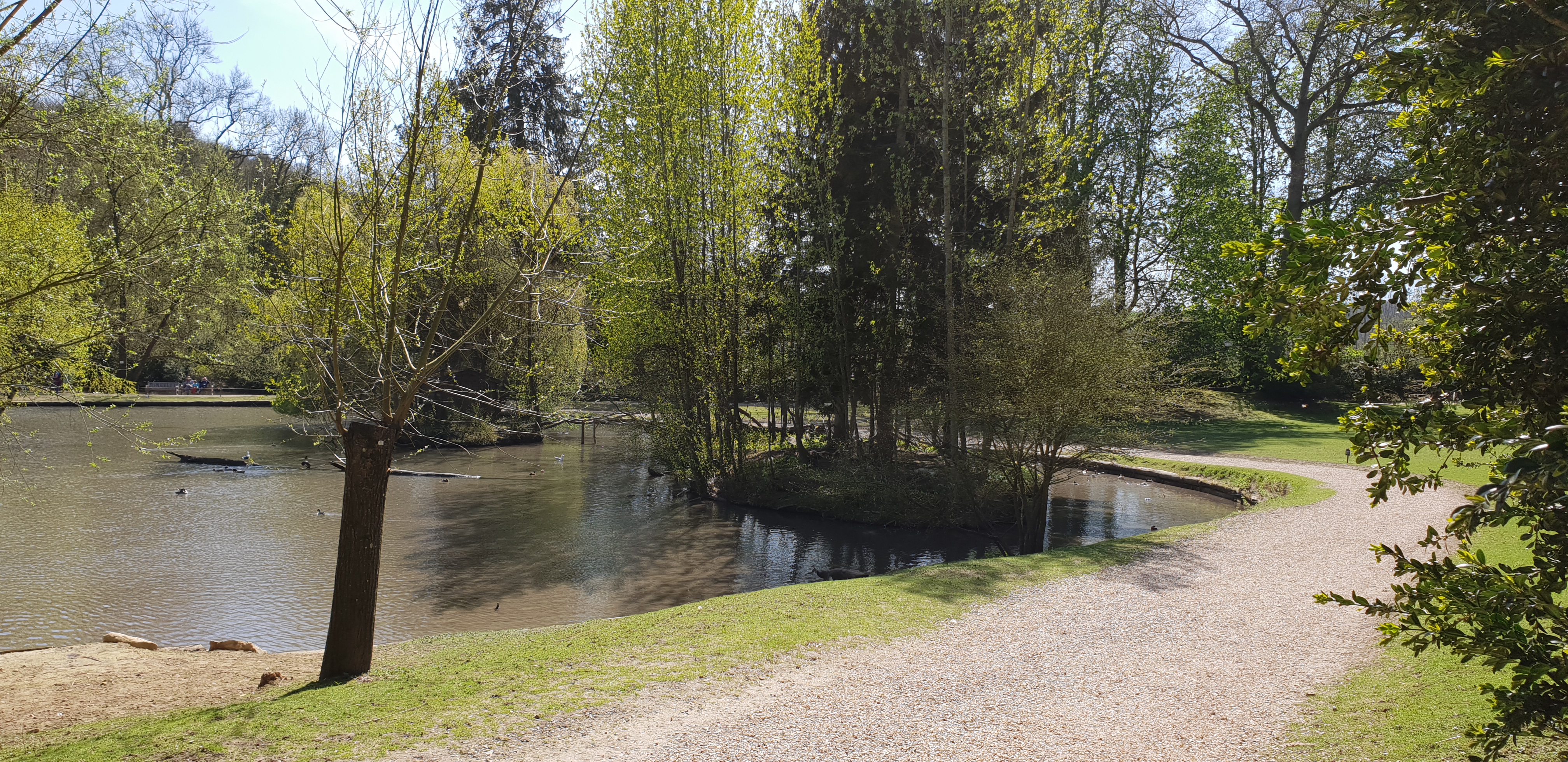 Photo n° 7 de l'avis de Dominique.A fait le 18/04/2018 à 14:35