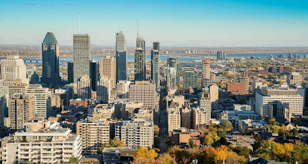 Une photo de la ville de Montréal vue d'une certaine hauteur.