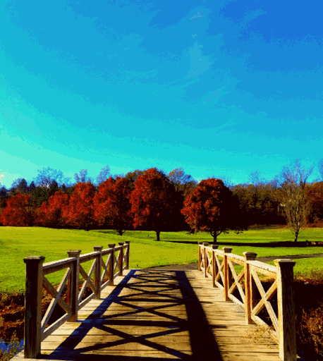 Public Golf Course «Weequahic Golf Course», reviews and photos, 1 Thomas Carmichael Dr, Newark, NJ 07112, USA