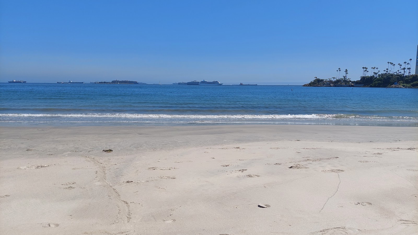 Φωτογραφία του Alamitos Beach - δημοφιλές μέρος μεταξύ λάτρεις της χαλάρωσης