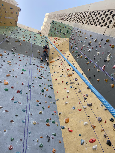 The Wall Climbing Gym