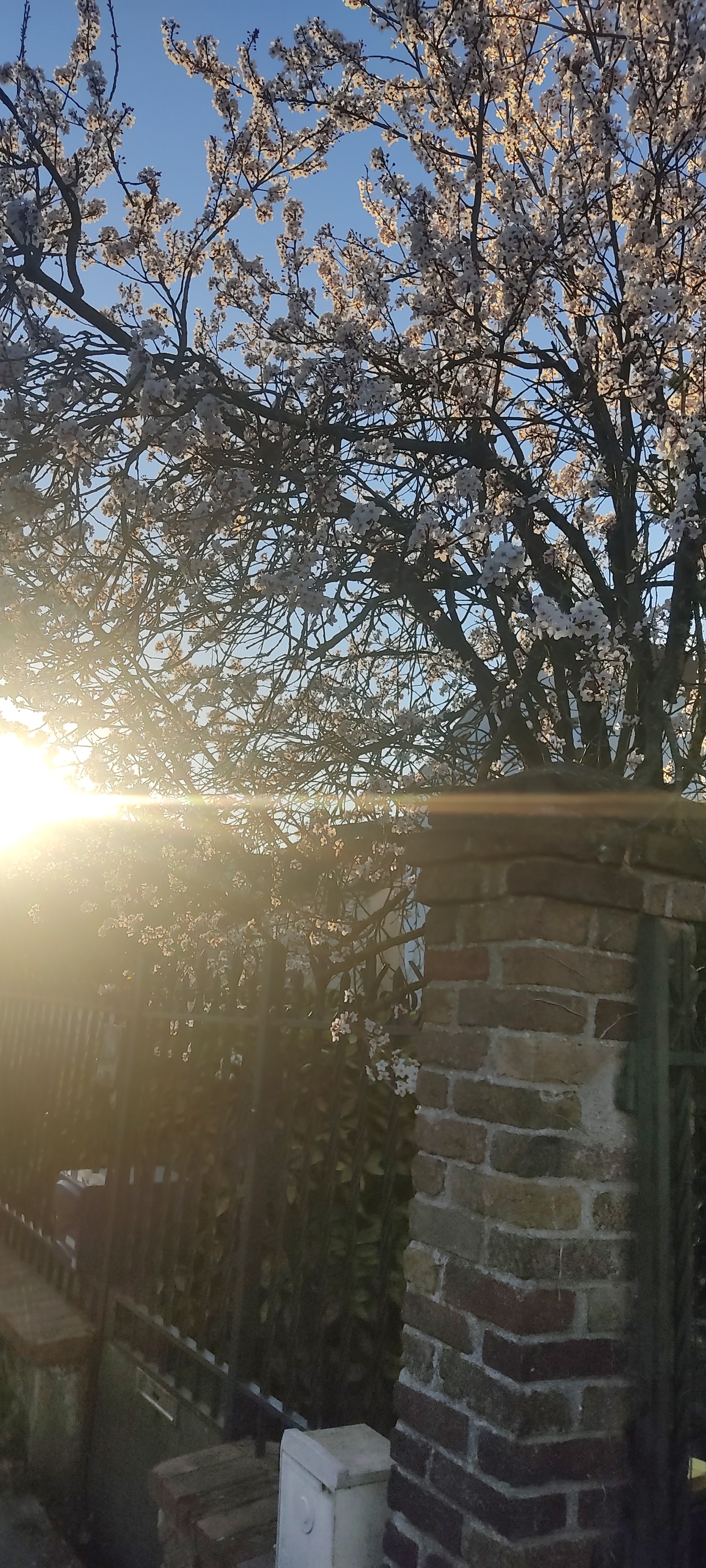 Photo n° 6 de l'avis de Chrystelle.o fait le 26/02/2022 à 18:50