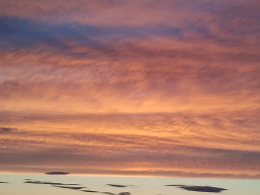 Golf Course «Pease Golf Course», reviews and photos, 200 Grafton Rd, Portsmouth, NH 03801, USA