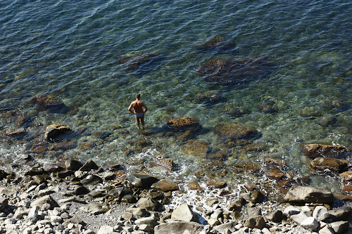 Wild beach photo #2