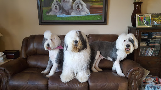 Pet Supply Store «At Your Services Pet Supplies», reviews and photos, 55 S Valle Verde Dr #300, Henderson, NV 89012, USA