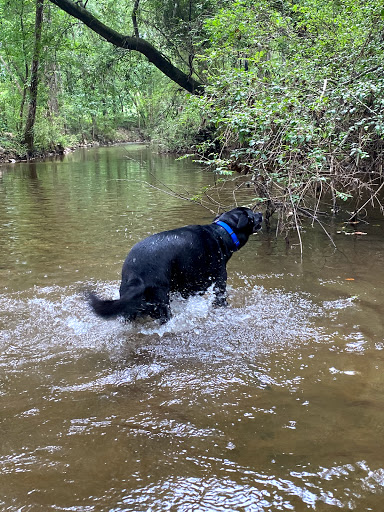 Ice Skating Rink «Pavilion Recreation Complex», reviews and photos, 400 Scottswood Rd, Taylors, SC 29687, USA