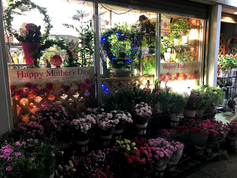 華乃花屋 東京都江東区扇橋 花屋 花 グルコミ