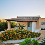 Photo n°1 de l'avis de Emin.a fait le 12/11/2018 à 15:05 sur le  Il Delfino à Lingua