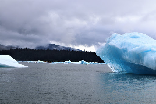 Cruise Agency «Highlands Ranch Travel», reviews and photos, 541 W Highlands Ranch Pkwy, Littleton, CO 80129, USA