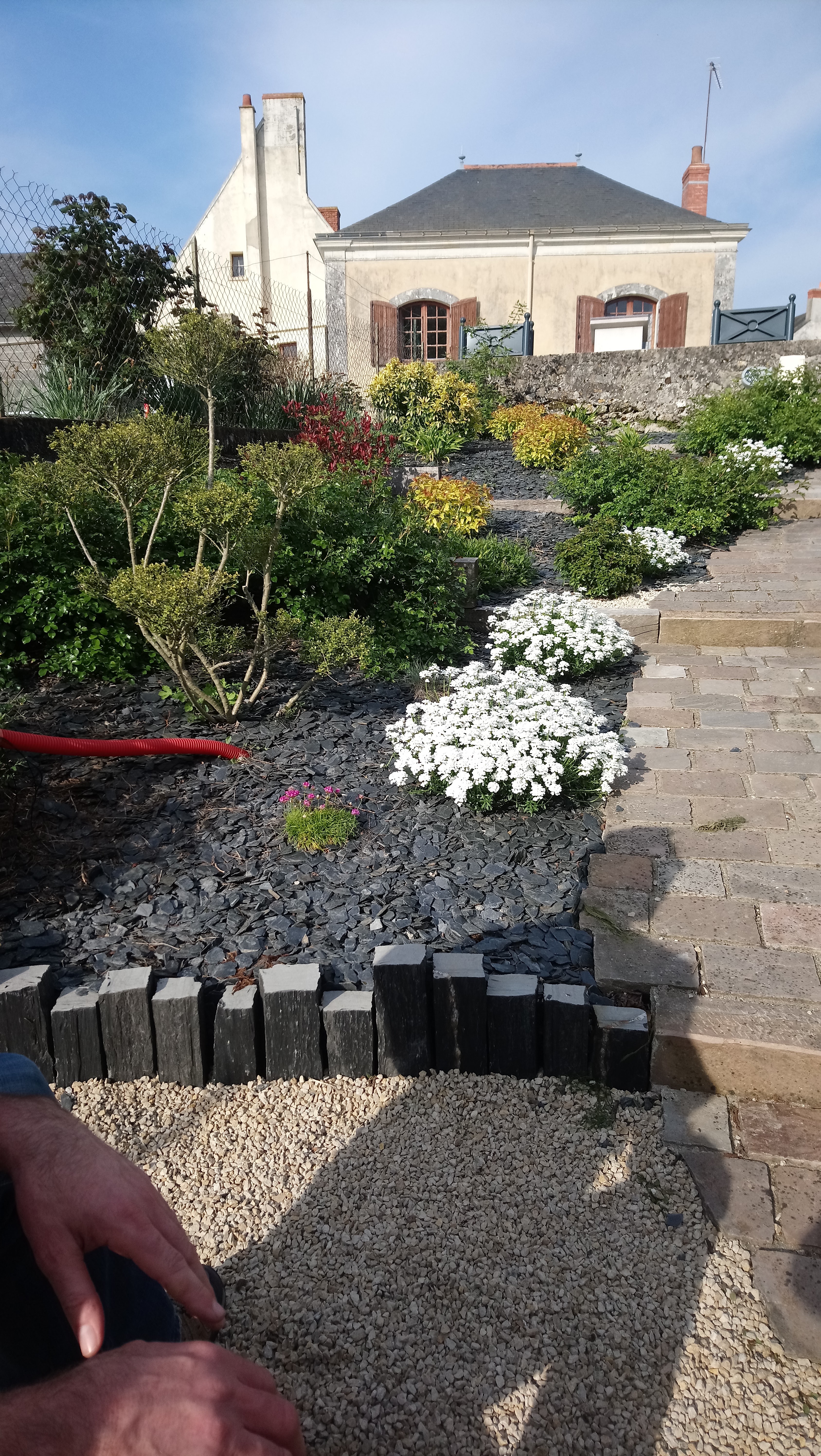 Photo n° 2 de l'avis de Dany.u fait le 22/04/2019 à 18:16