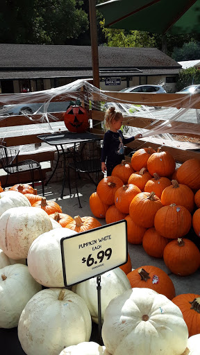 Market «Ben Lomond Market», reviews and photos, 9440 Mill St, Ben Lomond, CA 95005, USA