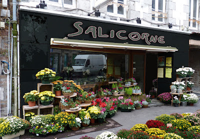 Salicorne à Bréhal