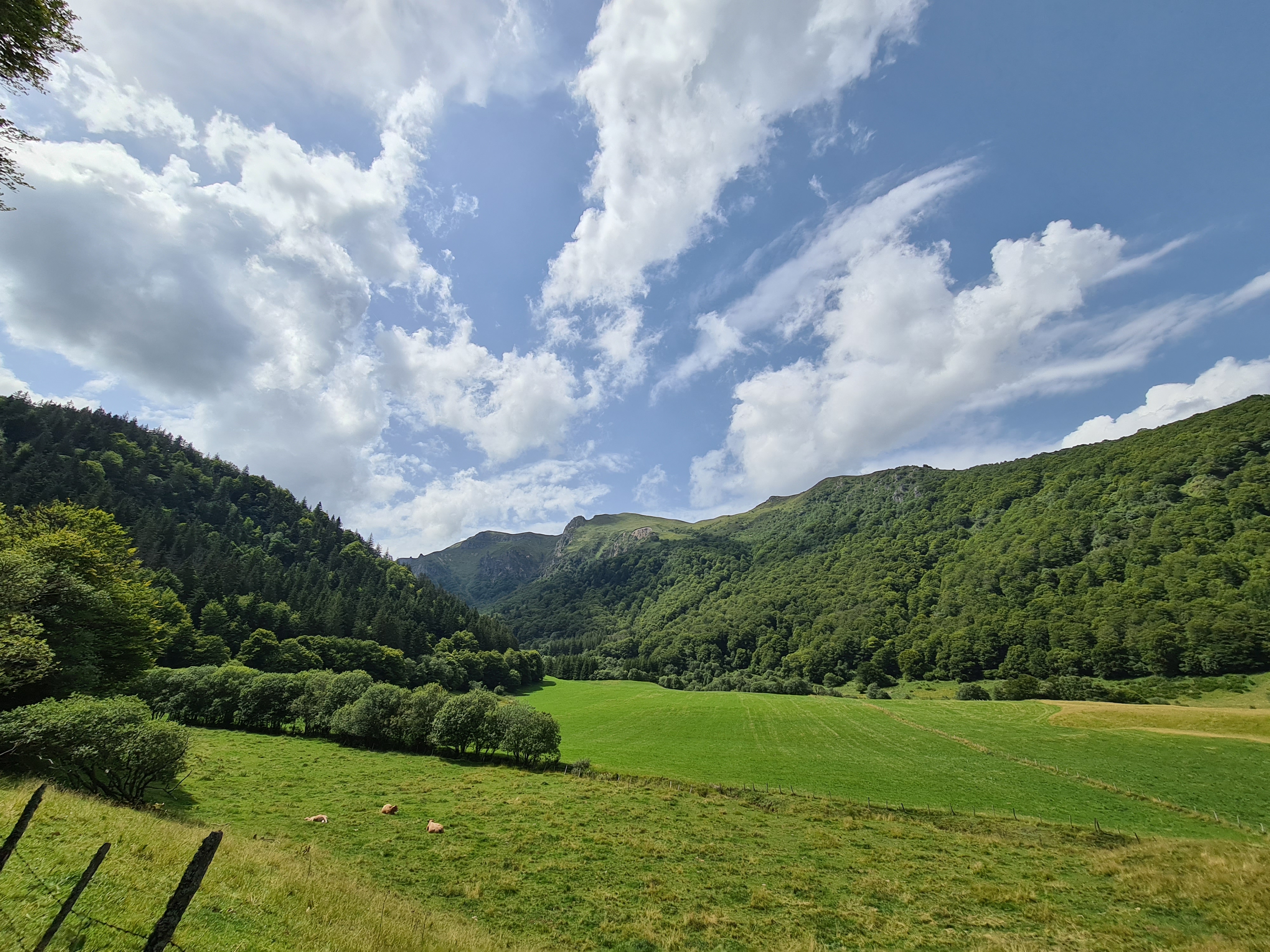 Photo n° 5 de l'avis de julien.n fait le 12/08/2021 à 18:57