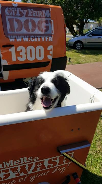 City Farmers Mobile Dog Wash Hillarys