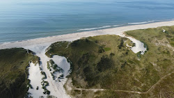 Zdjęcie Bjerregard Beach z poziomem czystości wysoki