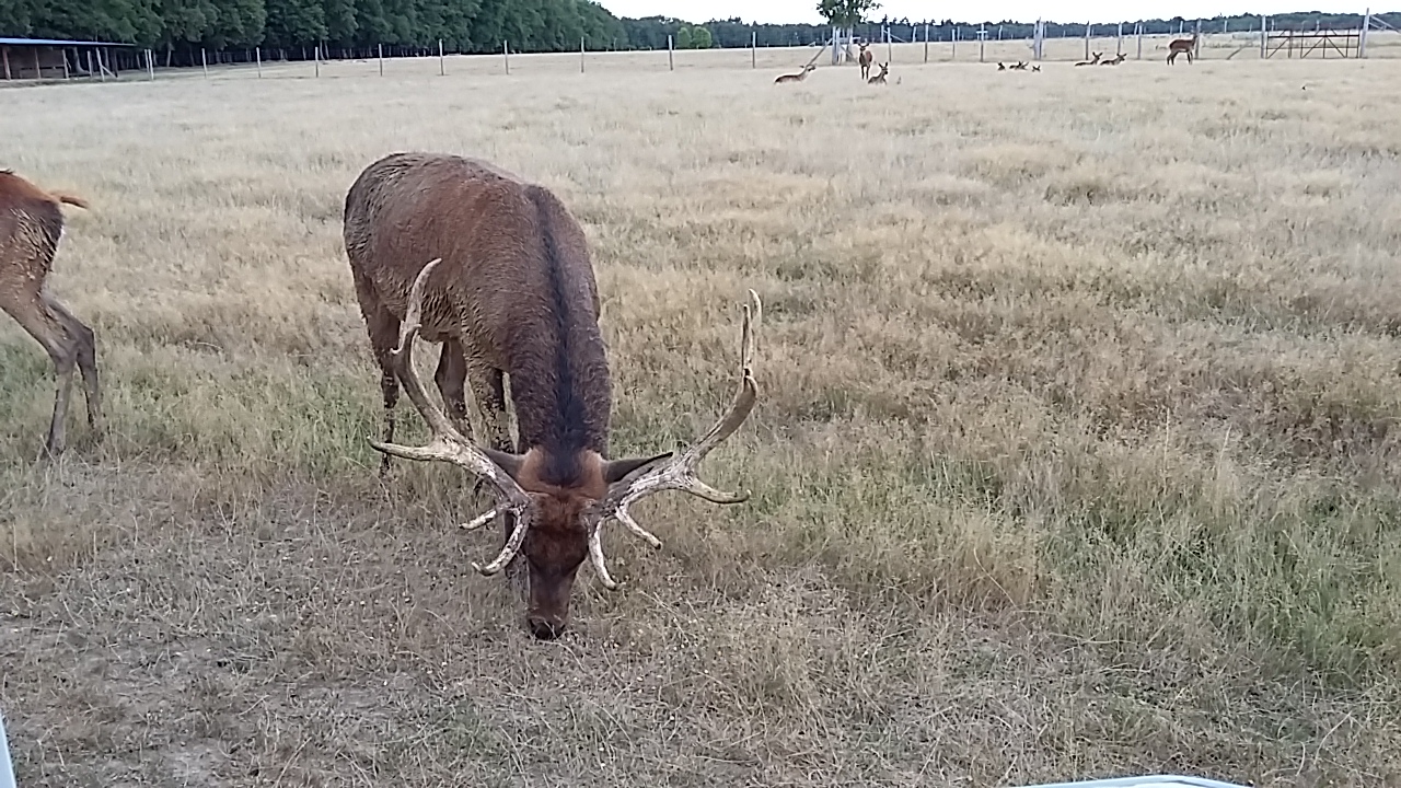 Photo n° 3 de l'avis de Frédéric. fait le 13/08/2017 à 11:14