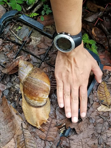 Travel Agency «Condor Tours & Travel, Inc», reviews and photos, 1760 Spectrum Dr #106, Lawrenceville, GA 30043, USA