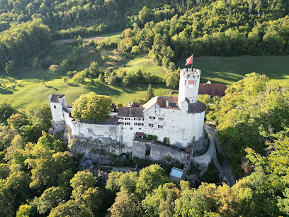 Burg Neu-Bechburg