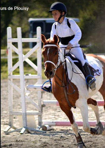 UNIVERS PONIES à Plouha