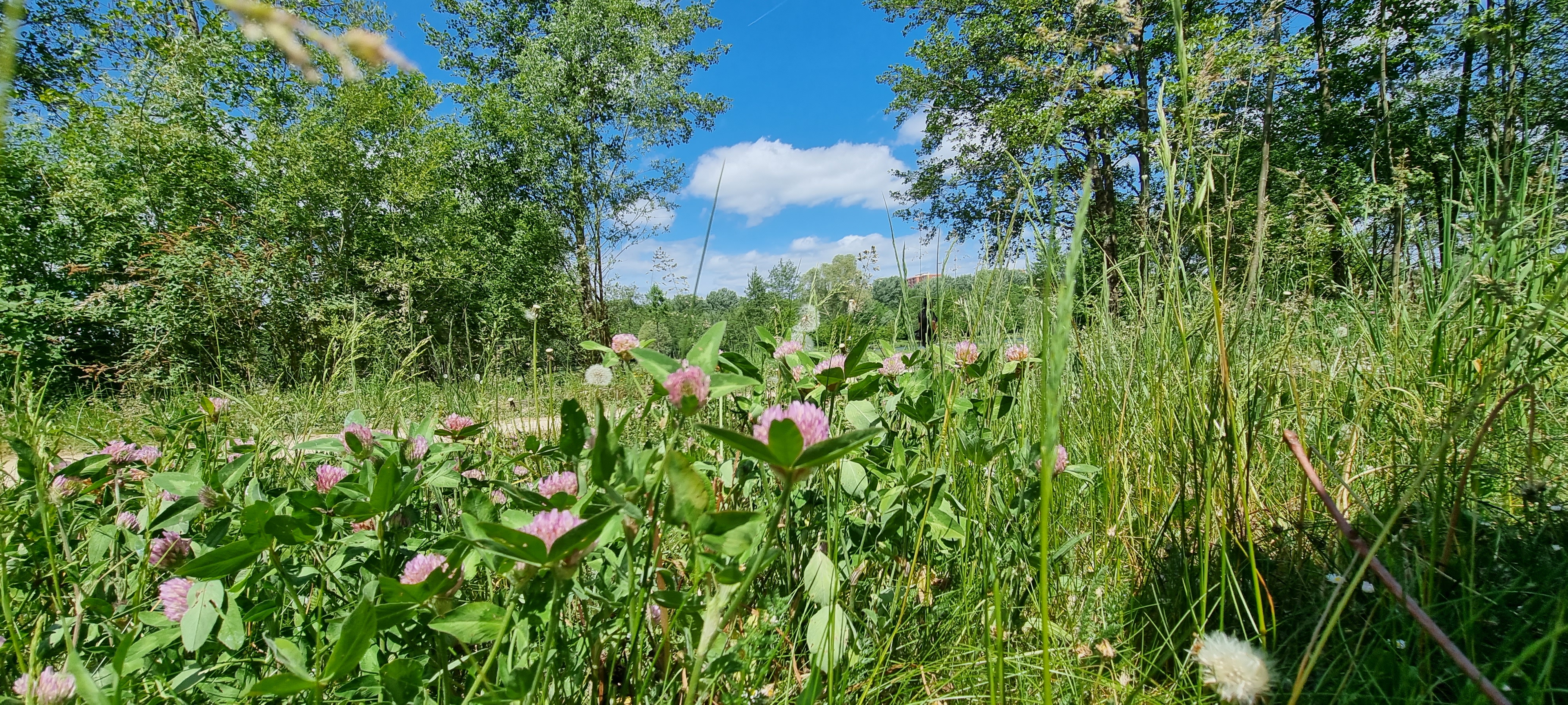 Photo n° 10 de l'avis de Keyser.� fait le 13/05/2022 à 15:56