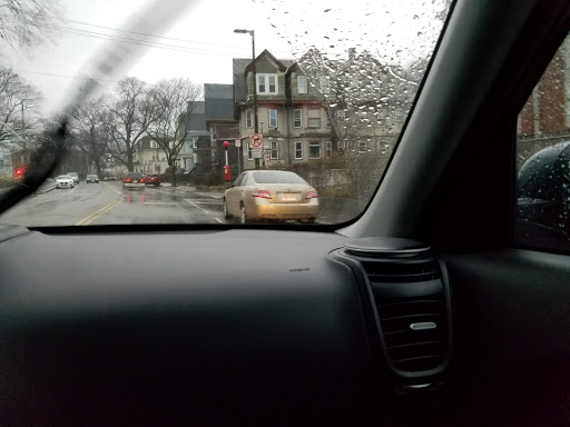 Park «Horatio Harris Park», reviews and photos, 85 Harold St, Boston, MA 02119, USA