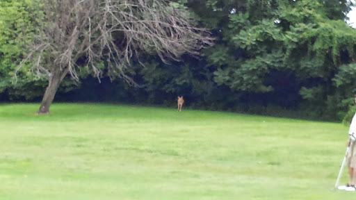 Golf Course «California Golf Course», reviews and photos, 5924 Kellogg Ave, Cincinnati, OH 45228, USA