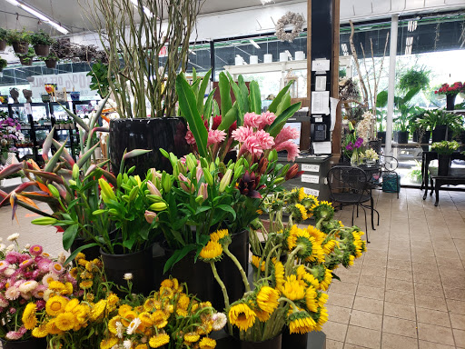 Florist «Metropolitan Plant & Flower», reviews and photos, 840 NJ-17, Paramus, NJ 07652, USA