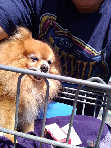 Discount Store «Walmart», reviews and photos, 840 Post Rd, Warwick, RI 02888, USA