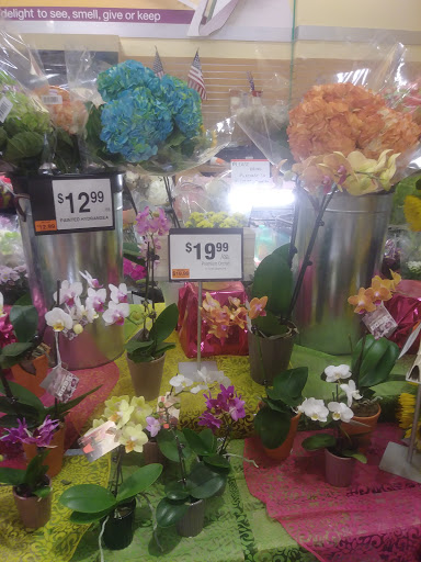 Supermarket «Stop & Shop», reviews and photos, 56 Shank Painter Rd, Provincetown, MA 02657, USA